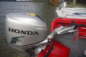 Pic: Mick Fletoridis